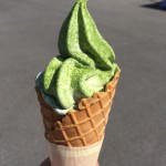 高田通泉園②